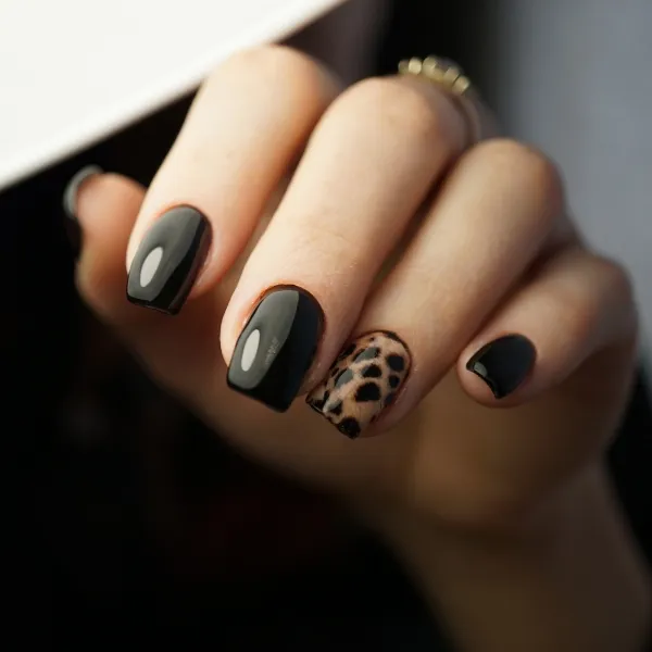 Polished nail set
